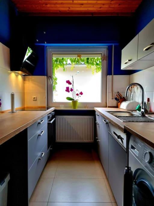 Appartement Eine Oase Bei Tara In Waldacker à Rödermark Extérieur photo